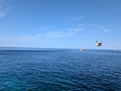 PXL_20250816_042703515