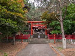 PXL_20260629_014932086