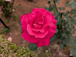 PXL_20260506_051902274