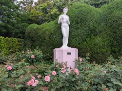 PXL_20260506_051246771