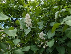 PXL_20260531_024013031