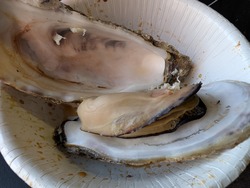 PXL_20250503_090044958