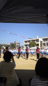61dce532.jpg