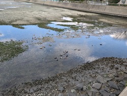 PXL_20250320_060133949