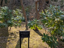 PXL_20250302_050437082