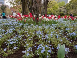 PXL_20250412_081709994