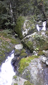 6757824c.jpg