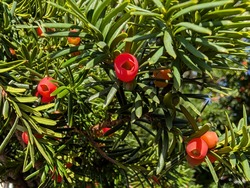 PXL_20251011_001933813