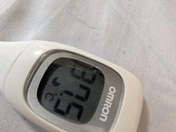 PXL_20251121_065534444