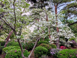 PXL_20260419_084734924~2