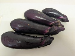 PXL_20250814_061547431