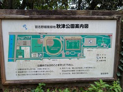 PXL_20260524_021628744