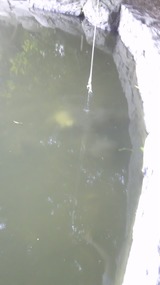 6d1655df.jpg