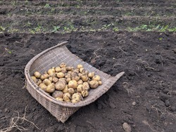 PXL_20250913_004736985