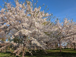 PXL_20250505_081111720