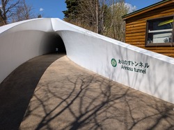 PXL_20250505_041527258