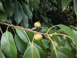 PXL_20250926_231406409