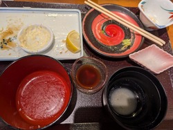 PXL_20260217_035420332