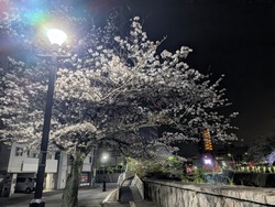 PXL_20260405_101713052