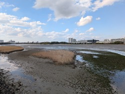 PXL_20250320_060057418