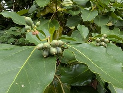 PXL_20250926_232117287