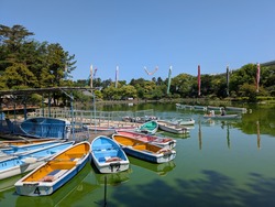 PXL_20260510_004252525