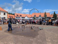 MP
