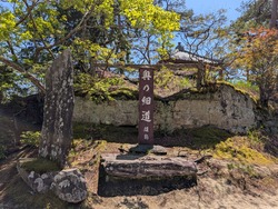 PXL_20260502_014329869