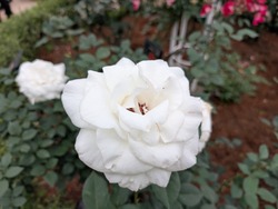 PXL_20250524_072358986