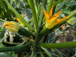 PXL_20250813_223719299