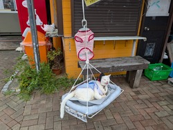 PXL_20250811_043038778