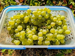 PXL_20251011_001647689~2