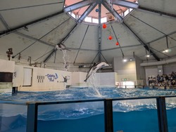 PXL_20260628_011229815