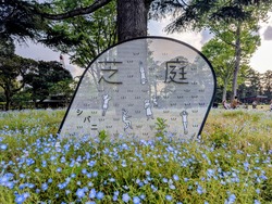 MP~2