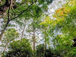 PXL_20251102_022708277~2