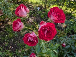 PXL_20261004_024603811