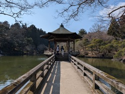 PXL_20250302_050220194