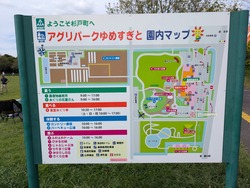 PXL_20250923_051634962