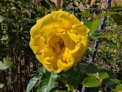 PXL_20261004_024748208