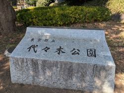 PXL_20250301_031227067