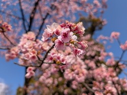 PXL_20260314_053411396