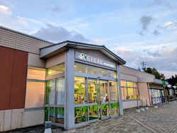 MP~2
