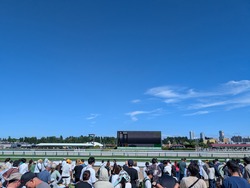 MP