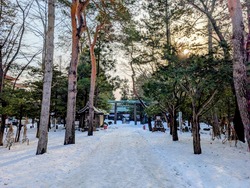 PXL_20260111_004250360~2