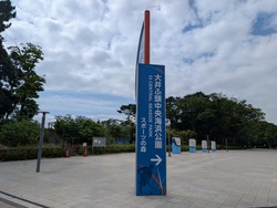 PXL_20250712_233823410