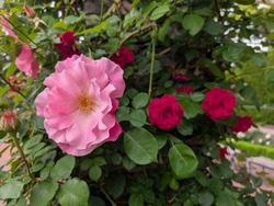 PXL_20260506_051220661