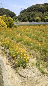 a0397d1d.jpg