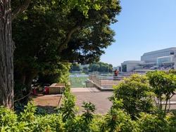 PXL_20260517_052512205