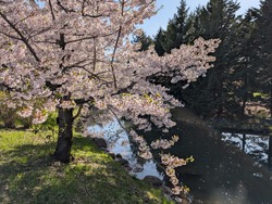 PXL_20250505_062649278