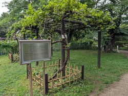 PXL_20250624_065251180